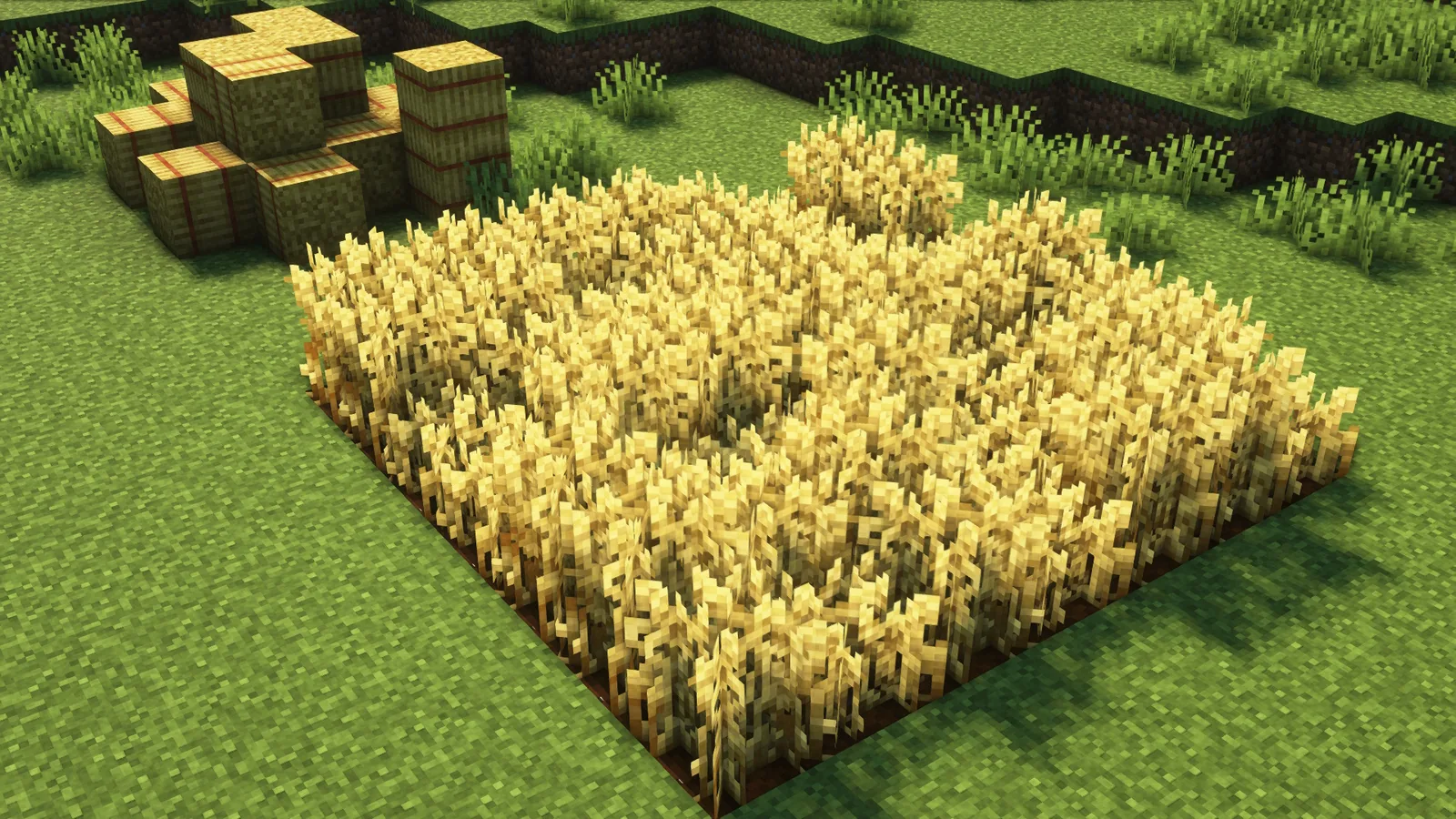 Framed windows on a Minecraft garden build