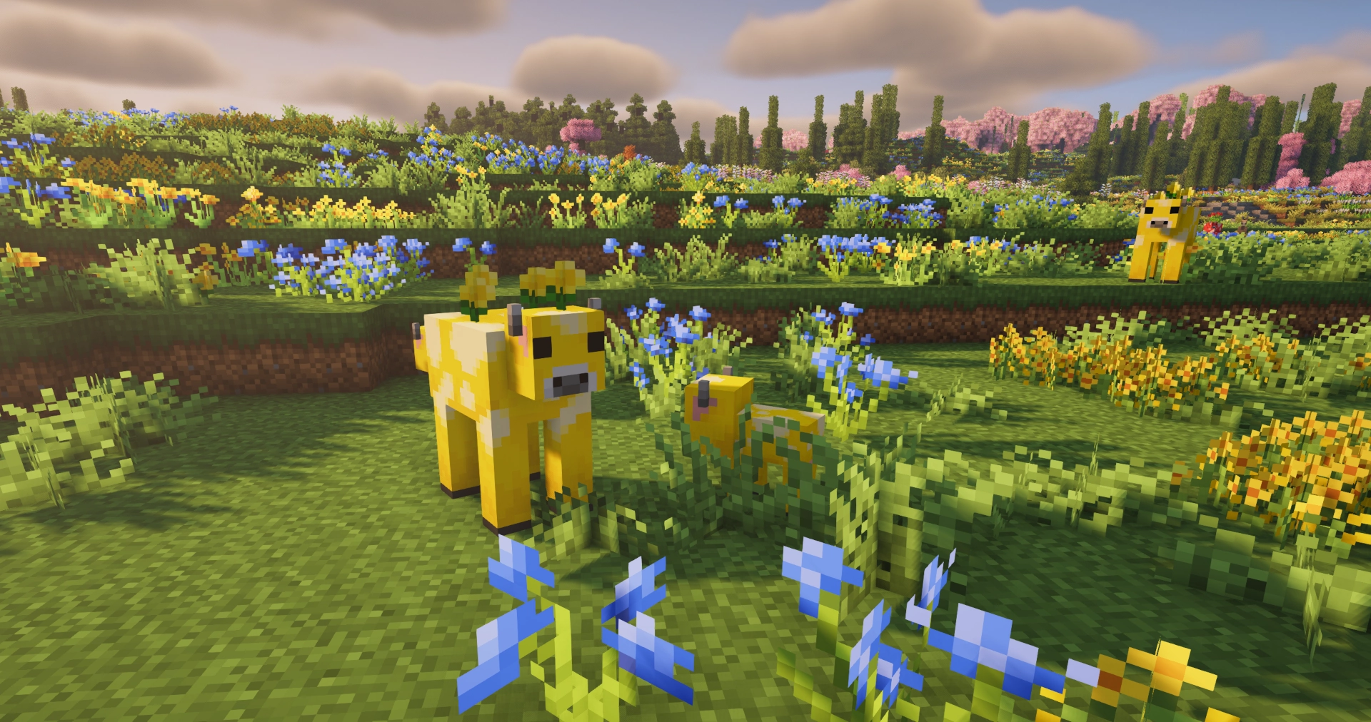 Player interacting with a block