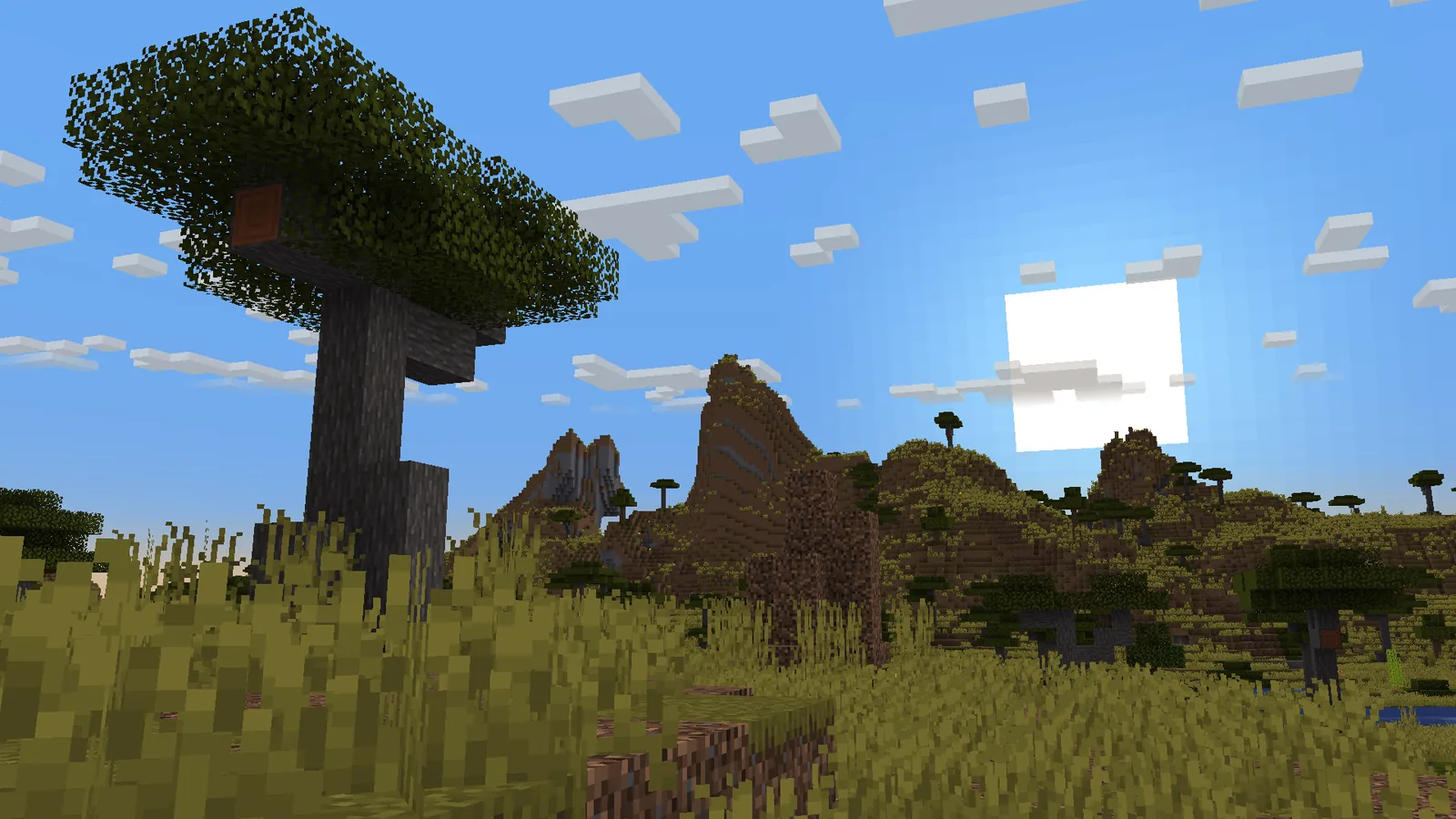 Vanilla-plus biome detail in Minecraft