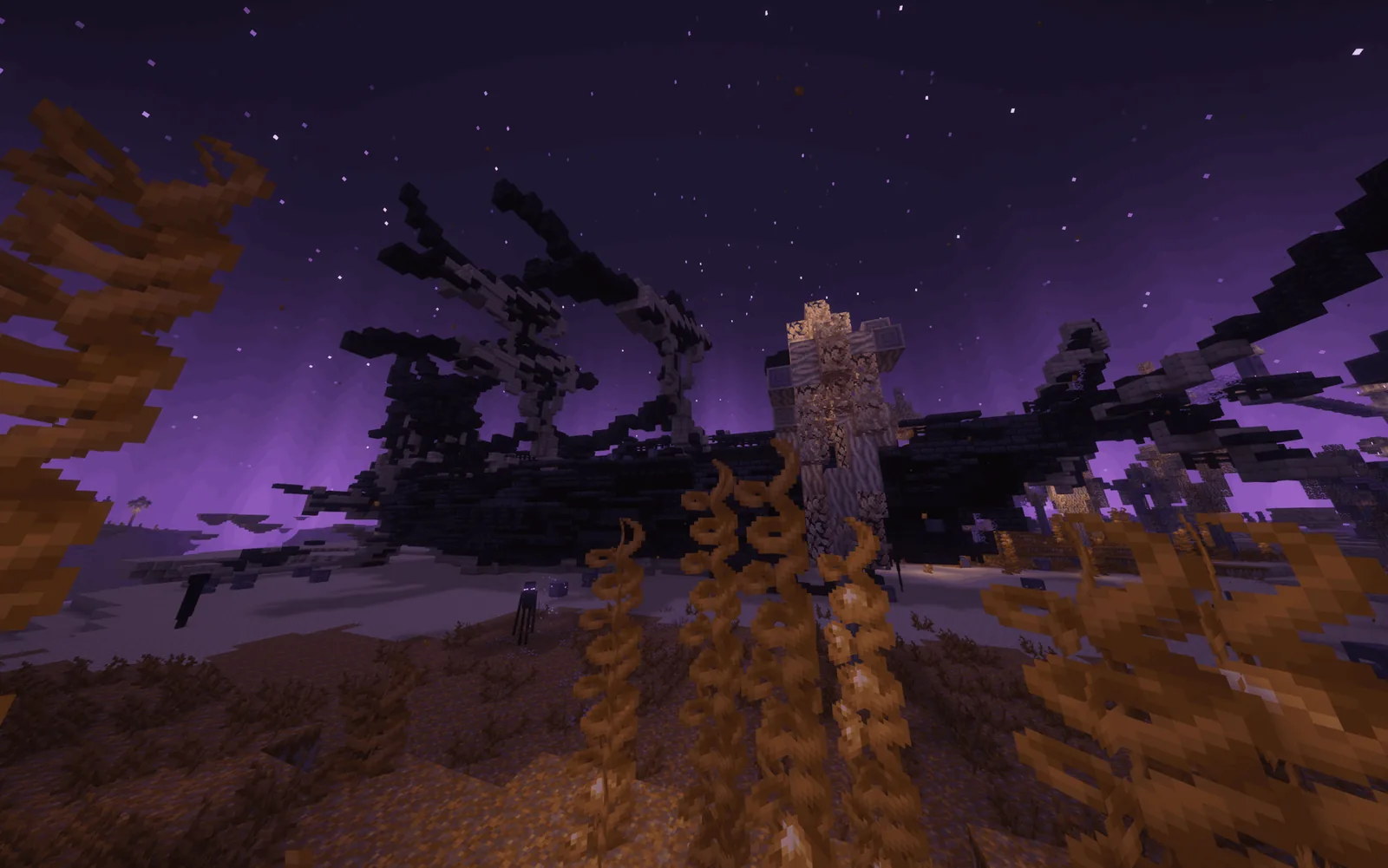 Wide view during a graphics test