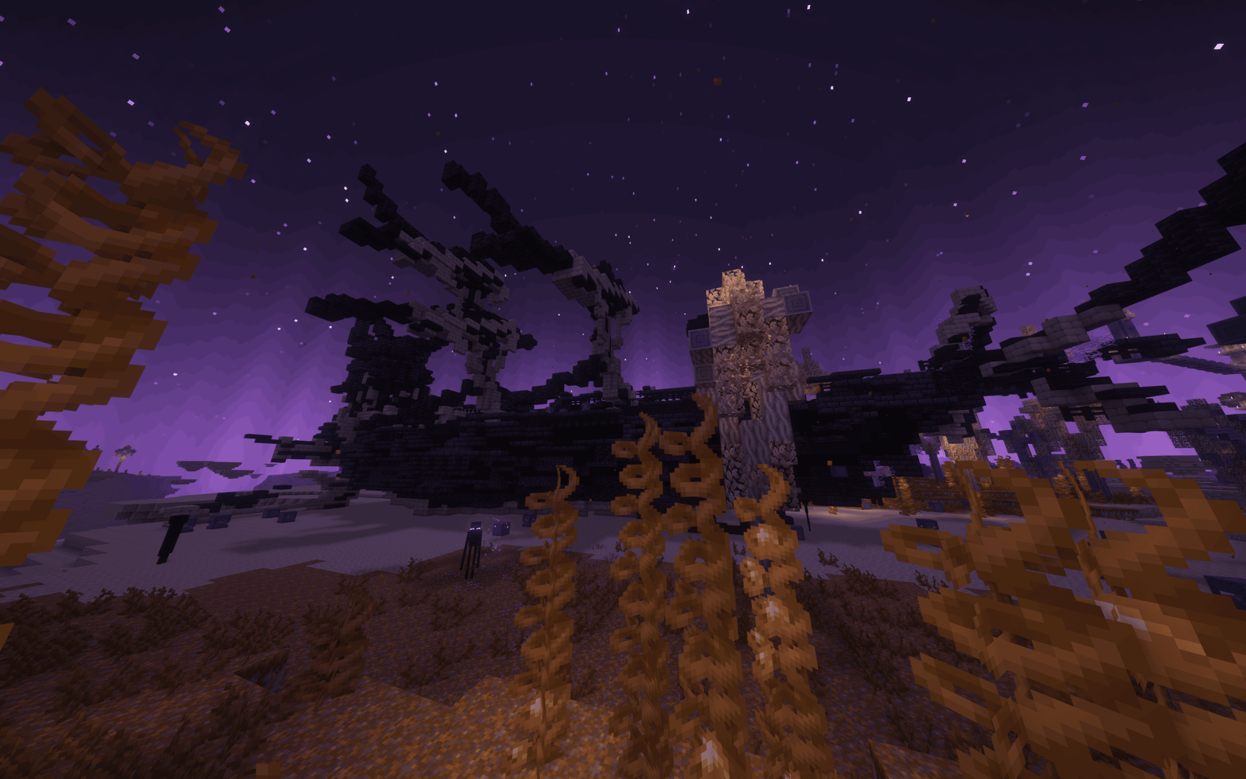 Wide view during a graphics test