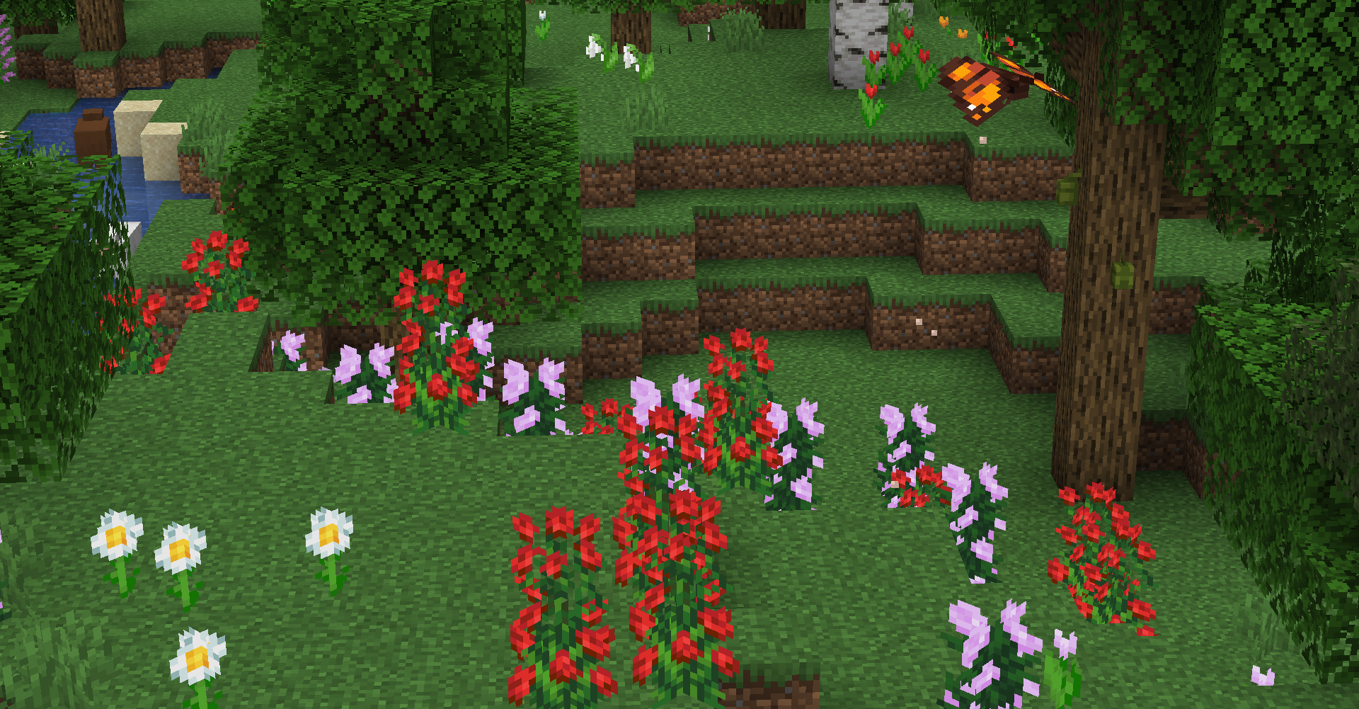 Crop field ready for harvest