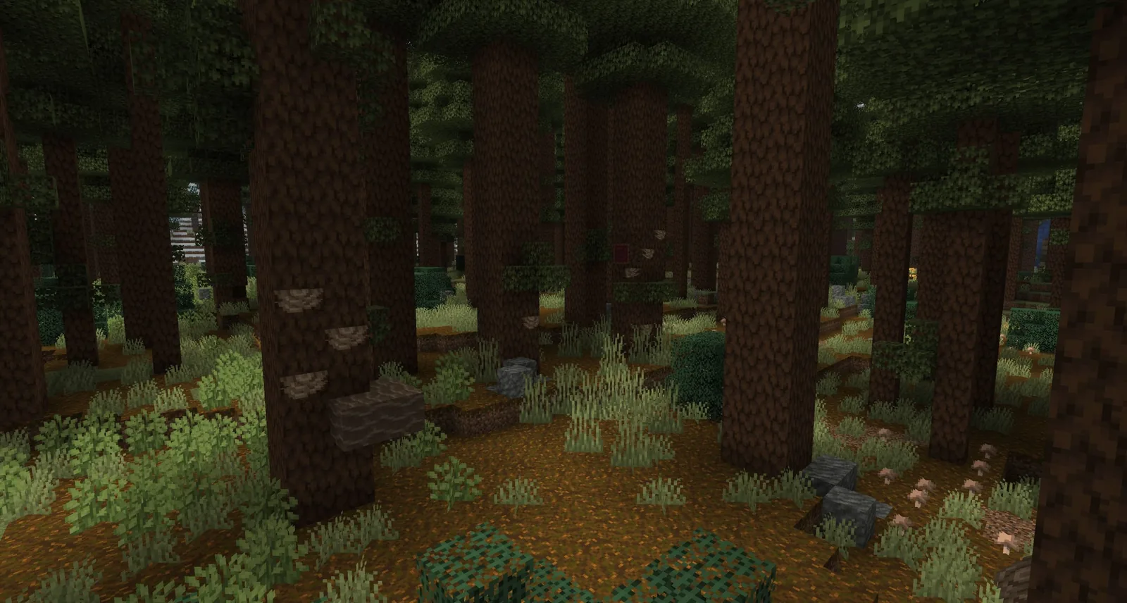 Interior view of a crowded base