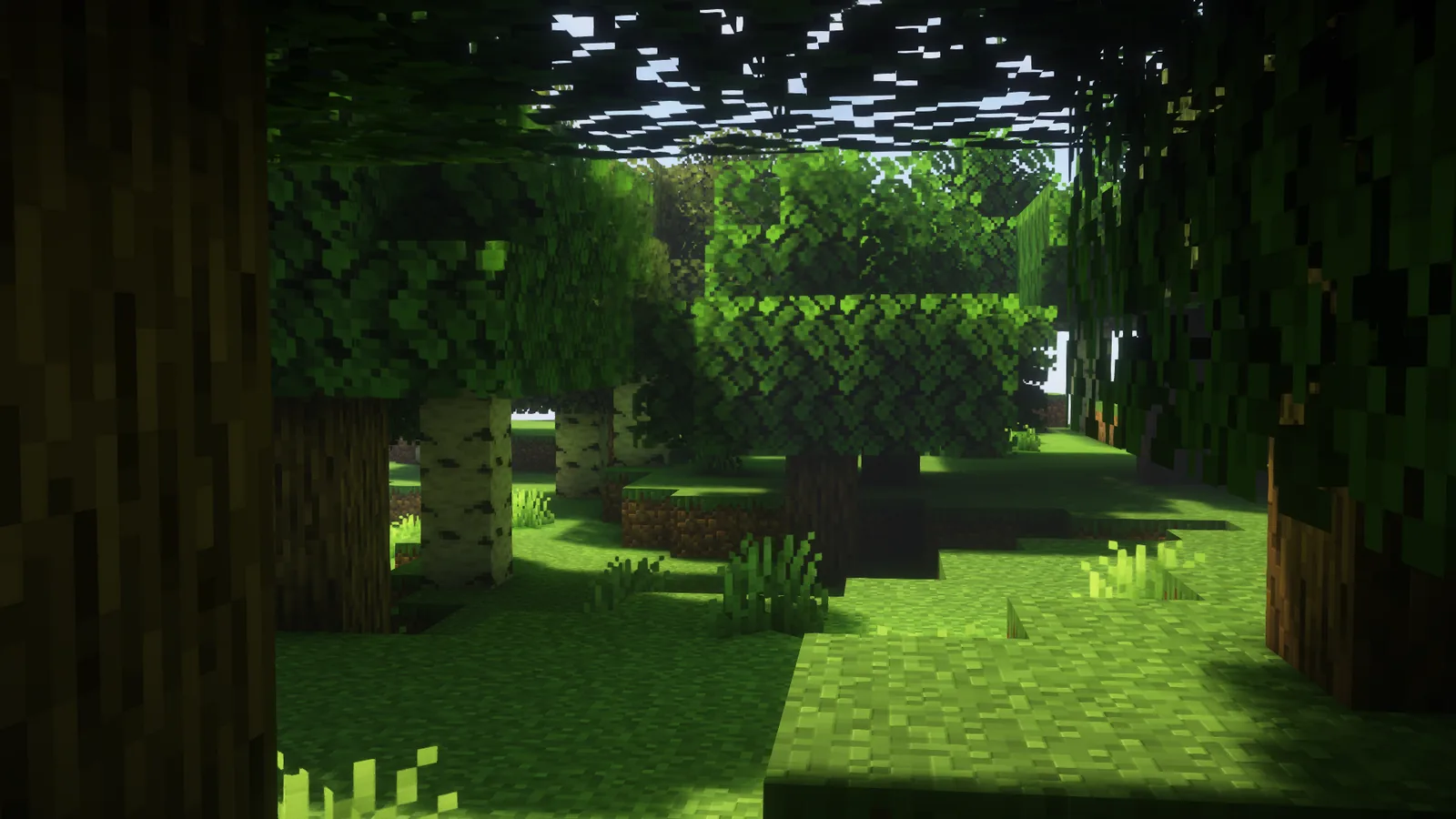 Lighting and shadow detail in Minecraft