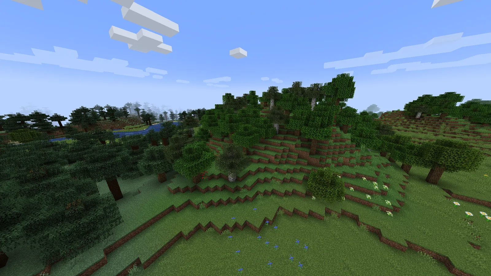 Wooded area with varied canopy