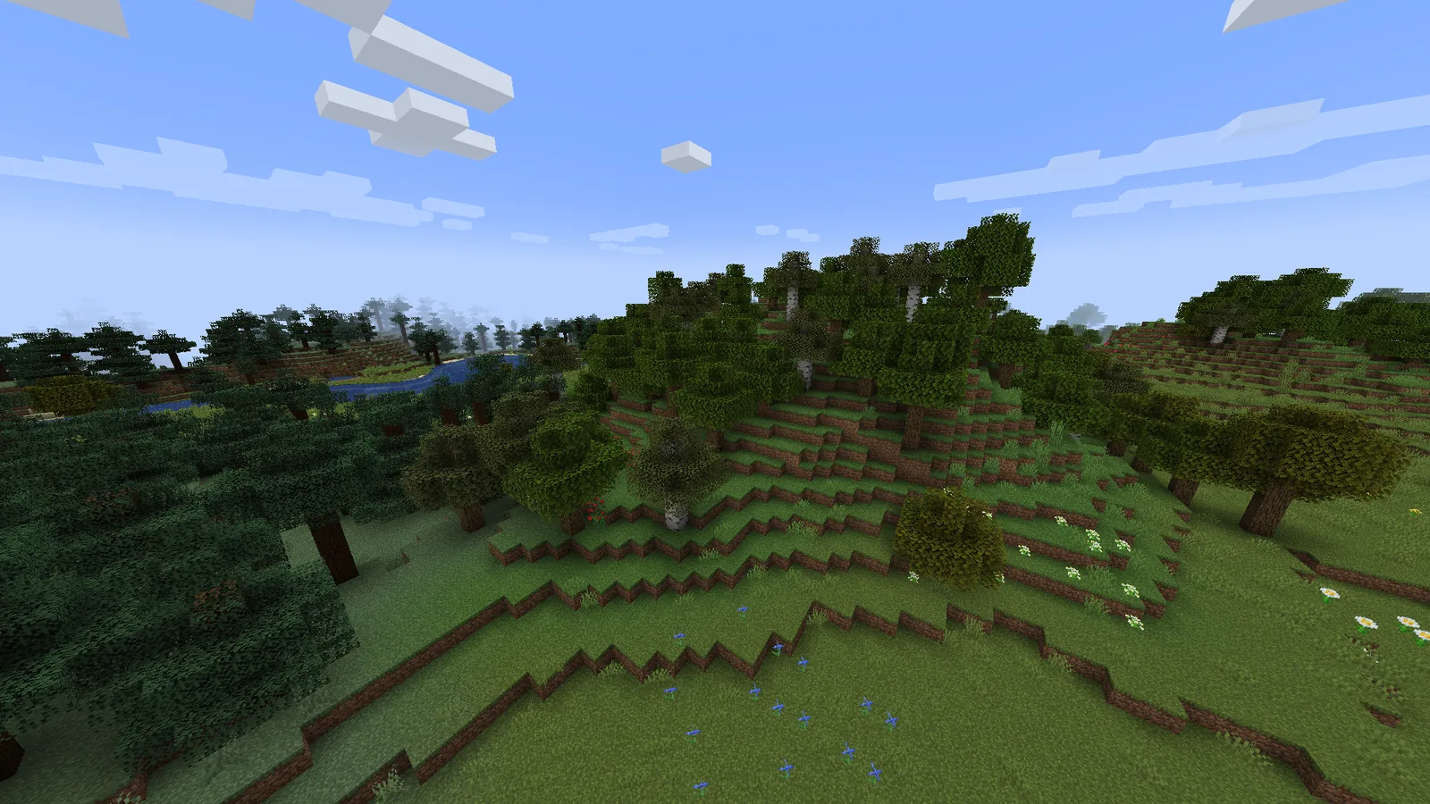 Tree line framing a build