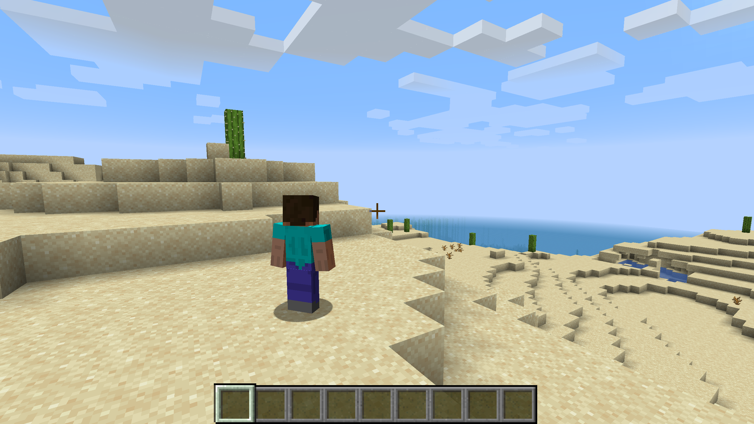 Interface overlay during playback