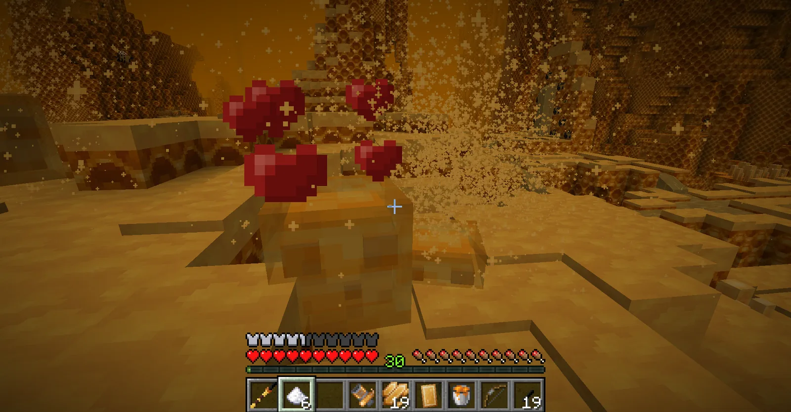 Large bees in a hive environment