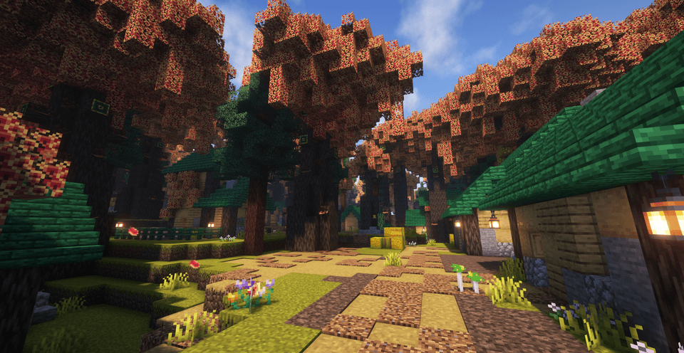Dense woodland with layered canopy