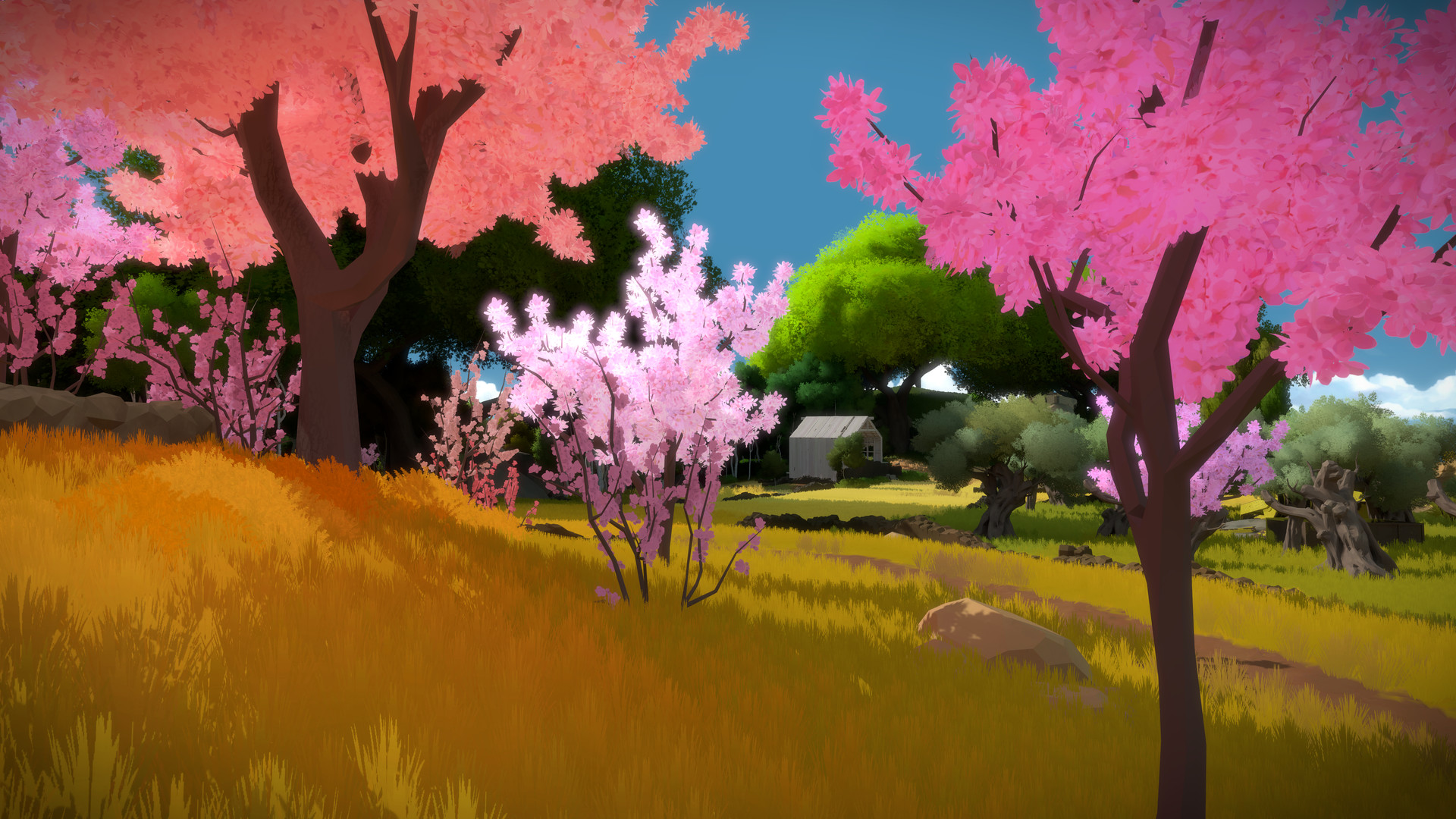 The Witness screenshot 6