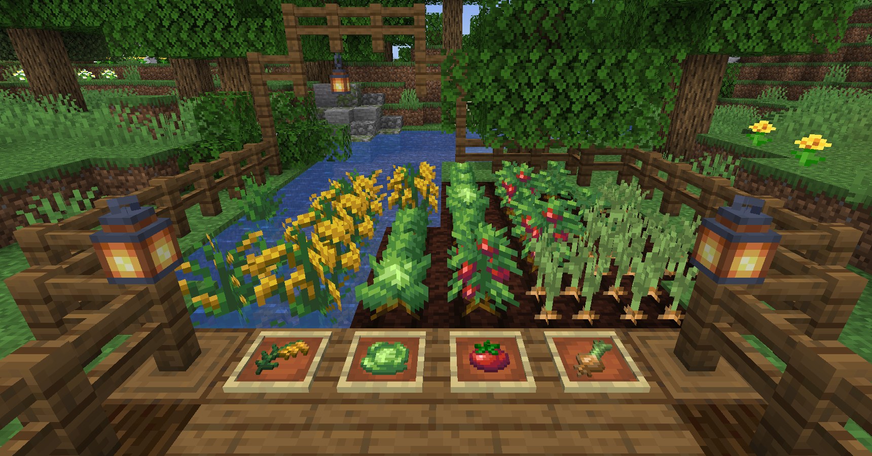 Rows of cabbages, tomatoes and onions growing in a Farmer's Delight farm