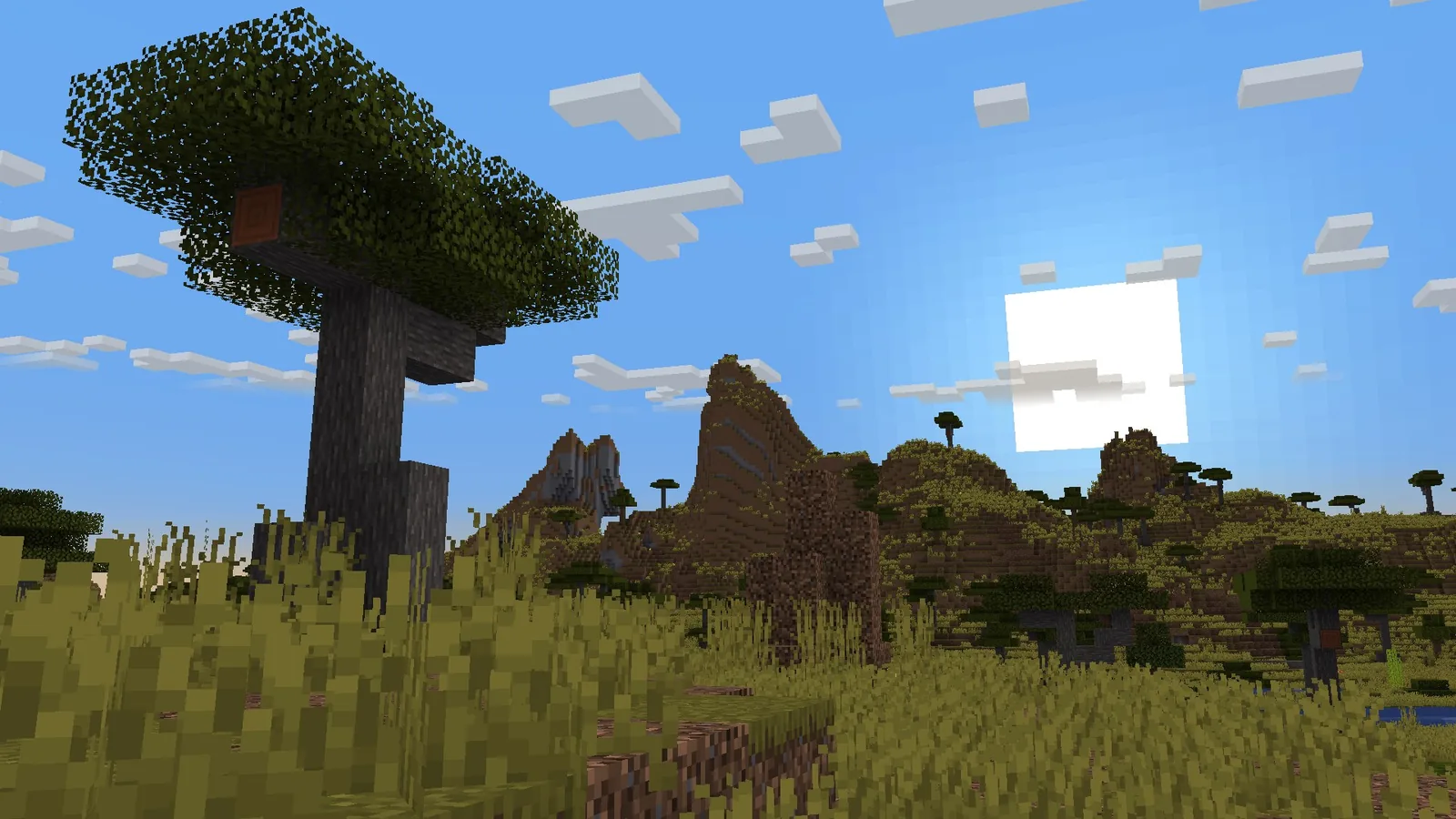 Savanna biome reworked with varied grass and scattered trees