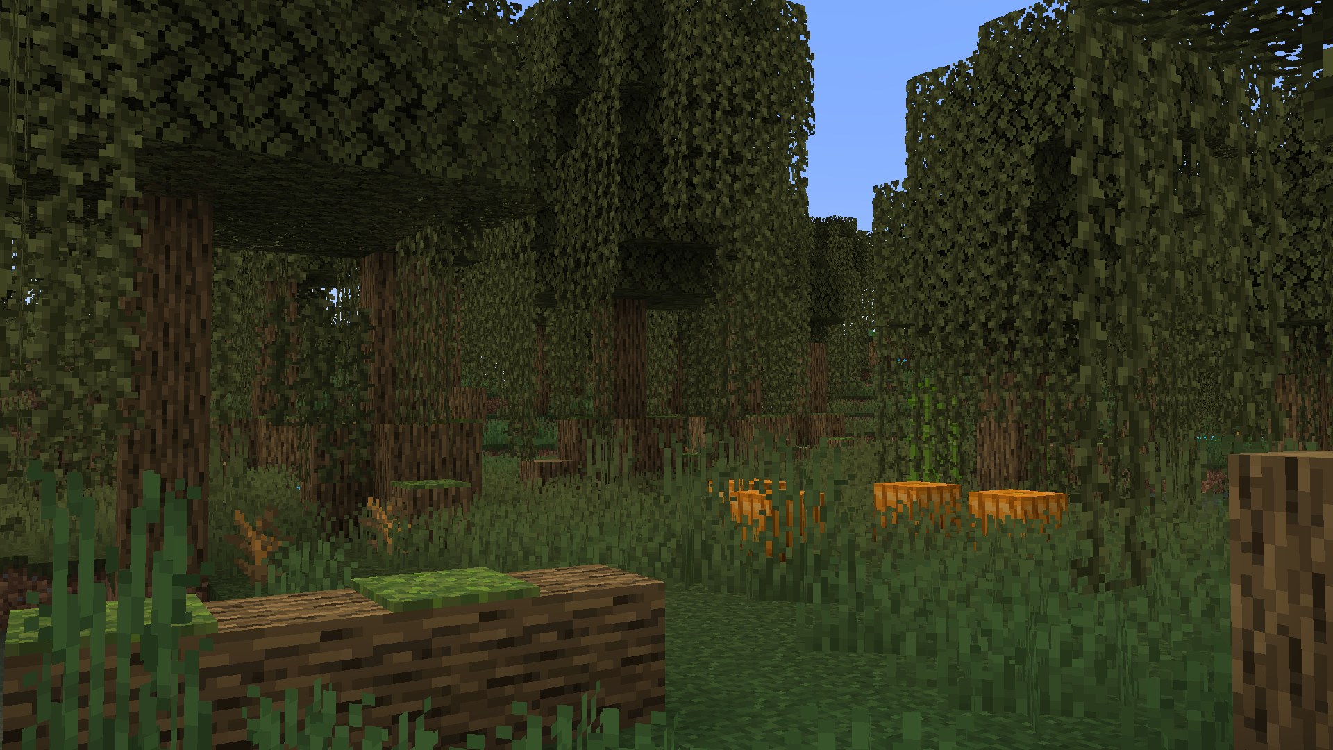 Swamp biome with added vegetation and murkier water