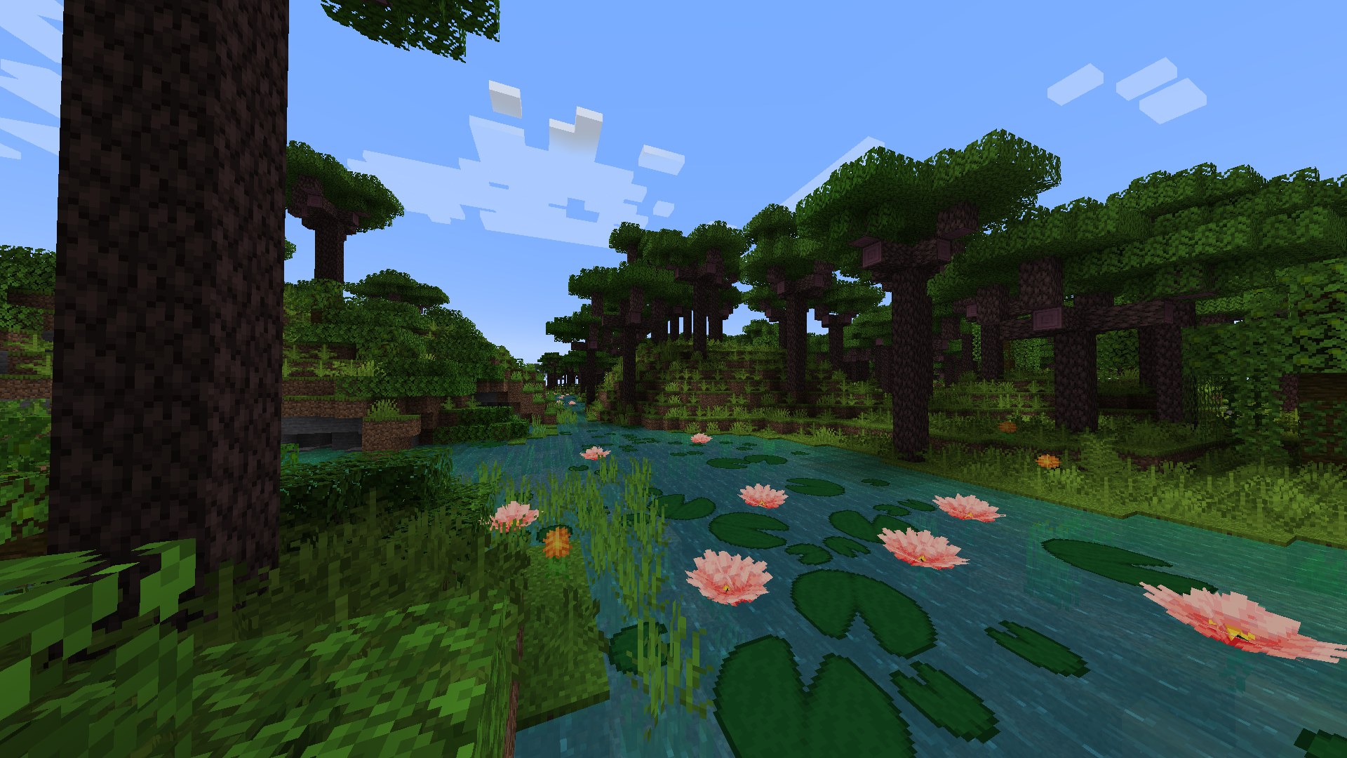 Dense rainforest and floodplain in a heavily modded world