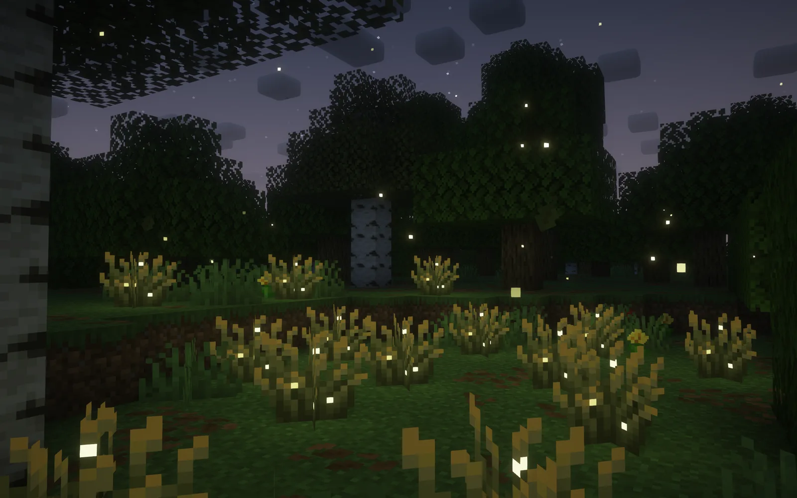 Night sky and lantern glow with Complementary Reimagined