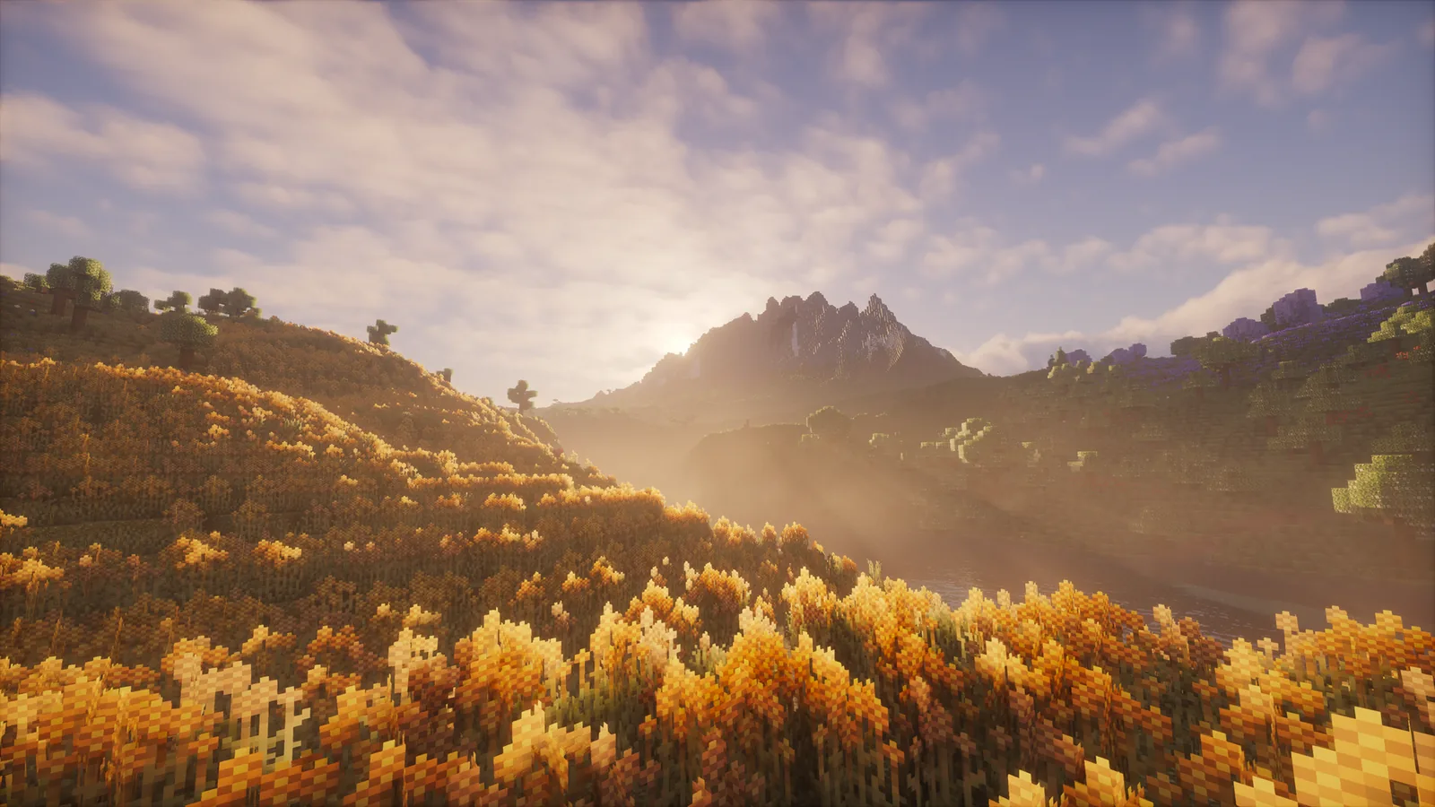 Minecraft view used to test entity culling performance